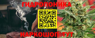 индика Кунгур