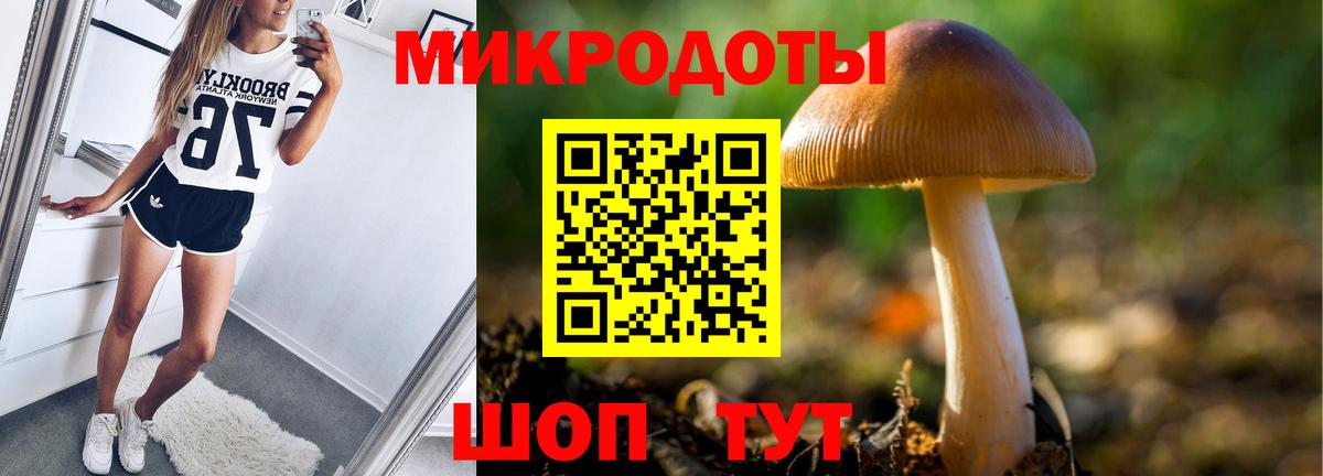 Псилоцибиновые грибы GOLDEN TEACHER  Вход с VPN  Камышин 